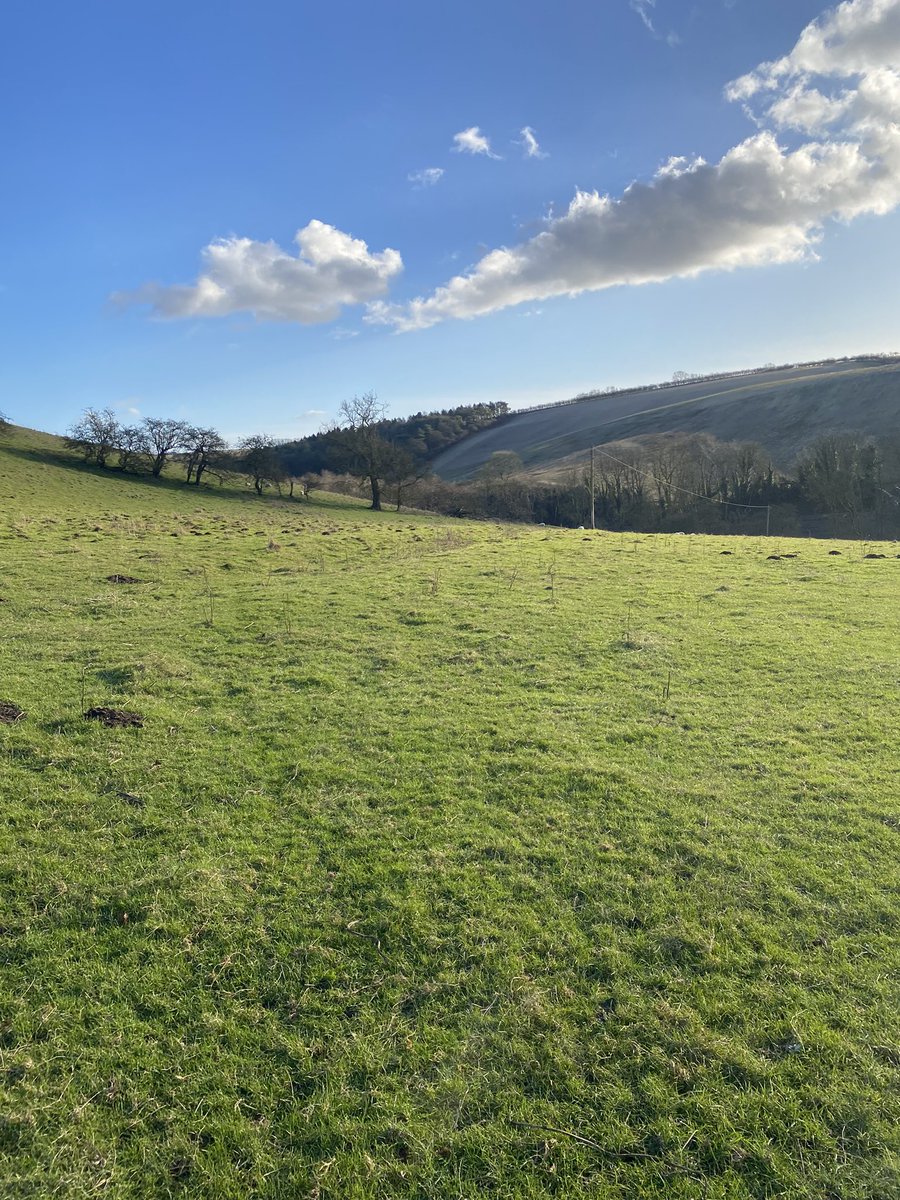 katiecakey123's tweet photo. Steady run in the Wolds with the husband. Absolutely beautiful blue skies, rather cold but lovely to see the sun βοΈ and to get on the trails. Long run tomorrow #runninggirl #justkeeprunning #SaturdayVibes #weekendwandering #marathontraining https://t.co/oqRLhGhra5