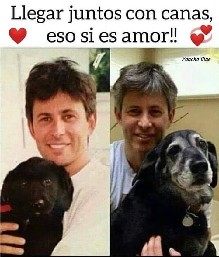 Esto es Amor.!. 🐶🐾🕊️💞❤️❤️