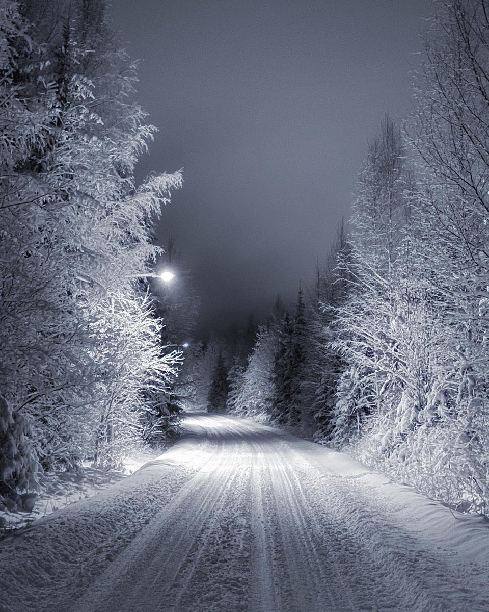 — solace of winter ❄️