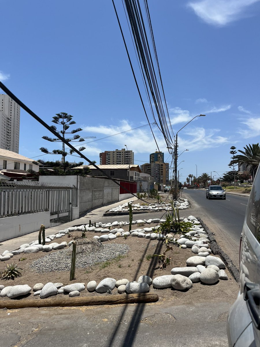 AndreaMandiola's tweet photo. @MovistarChile por favor llevan desde diciembre con este cable así. Cada día cae más y viven personas adulto mayor, por favor 🙏🏽 pueden ayudarlos y sacar , sector av Playa Brava con Cardenal Caro, Iquique, me dijeron que es fibra óptica de Movistar @SERNAC @SEC_cl https://t.co/kbfDHmWT2S