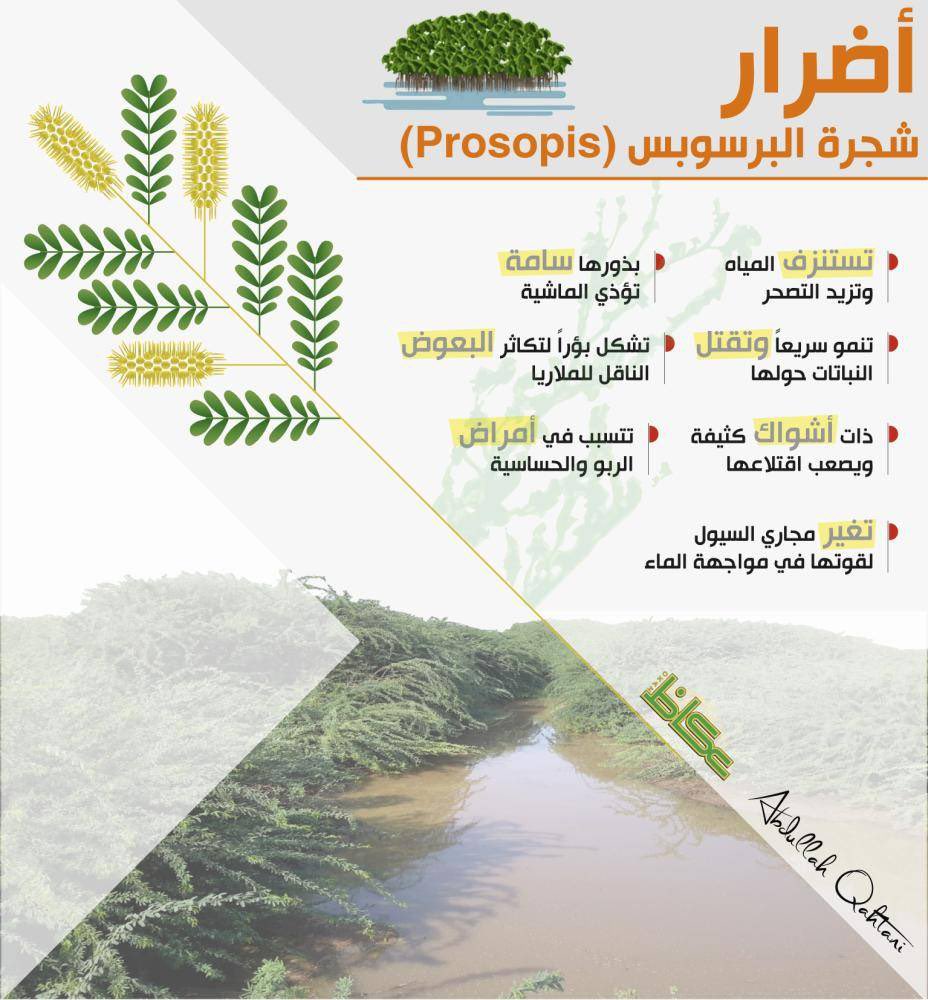 اكسير tweet media