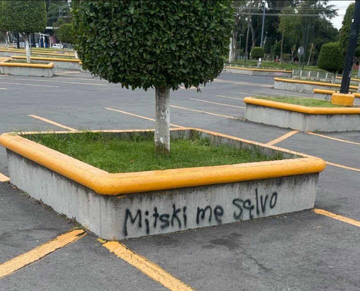 mitski world (@mitski_world) on Twitter photo 