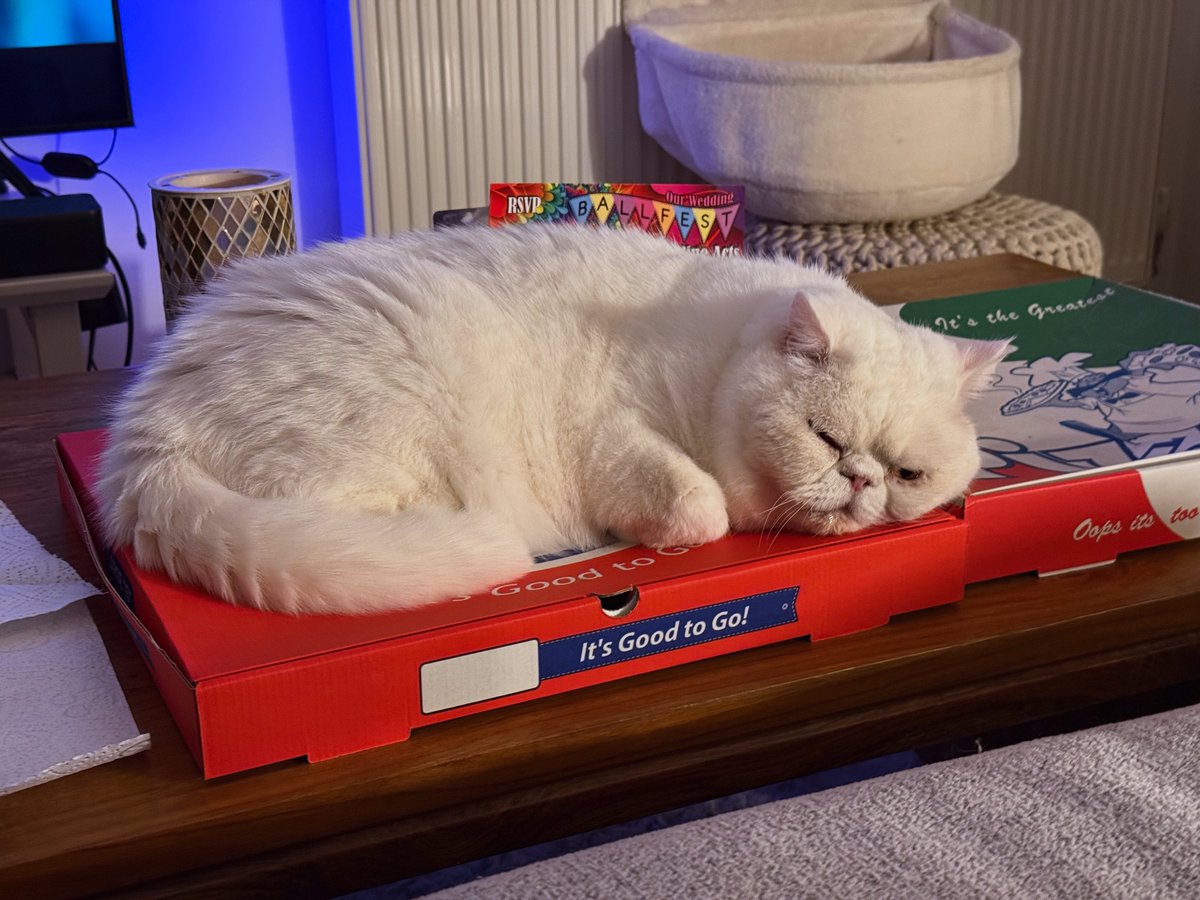 withitnow's tweet image. New pizza box? My home! If I fits, I sits! ❤️🥰😻😽 

#InstaCat #InstaKitty #CatGram #KittyGram #Beautiful #Gorgeous #Cat #Kitty #InstagramCats #CatsOfInstagram