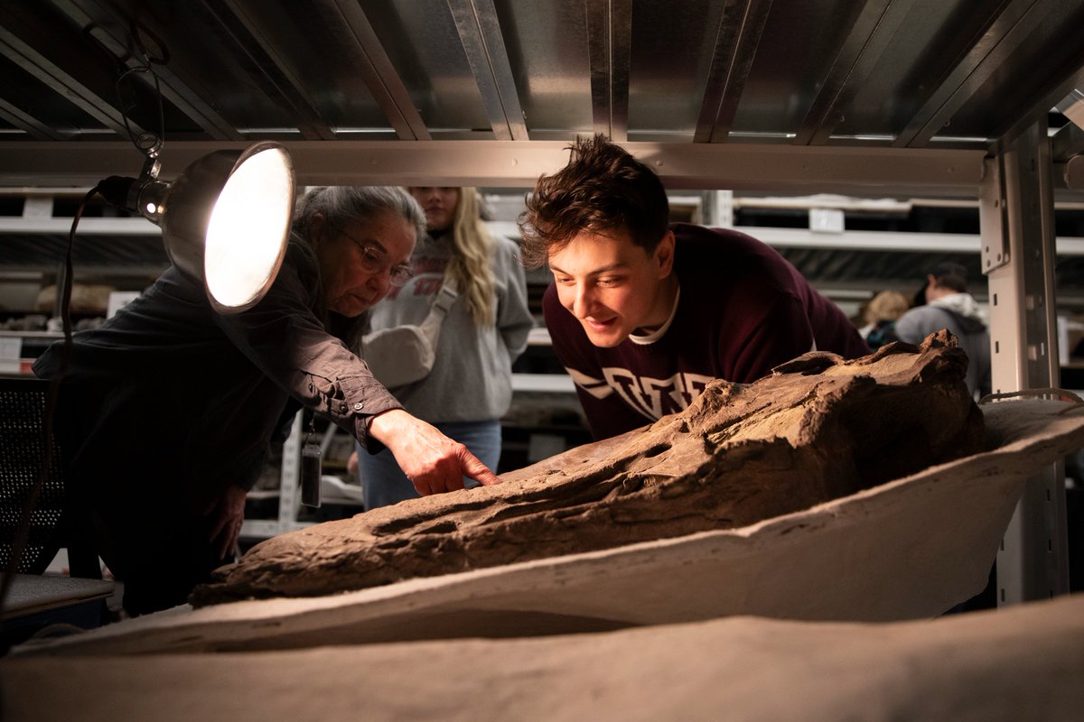 NHMU's tweet photo. 🦖 DinoFest is in full swing today and we’re having an amazing time celebrating 🎉

If you haven’t celebrated with us yet, don’t worry—there’s still time! DinoFest continues tomorrow, Jan. 26, from 10 a.m. to 5 p.m. 

Learn more here: https://t.co/vti352uAL1 https://t.co/T1bQzYEAvp