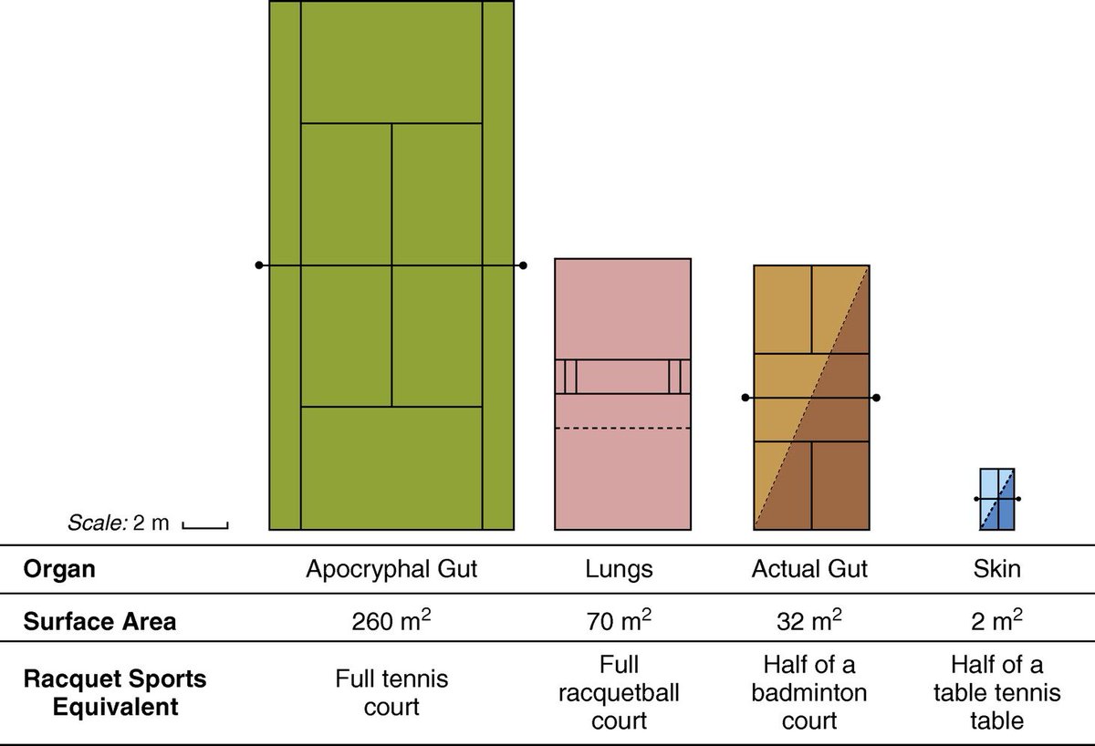 Robert Dickson tweet media