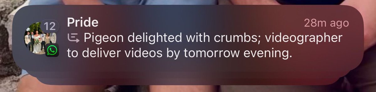CPS95's tweet photo. The Apple AI summaries were not designed to handle the tangents of our group chat https://t.co/qCeMH6GWwJ