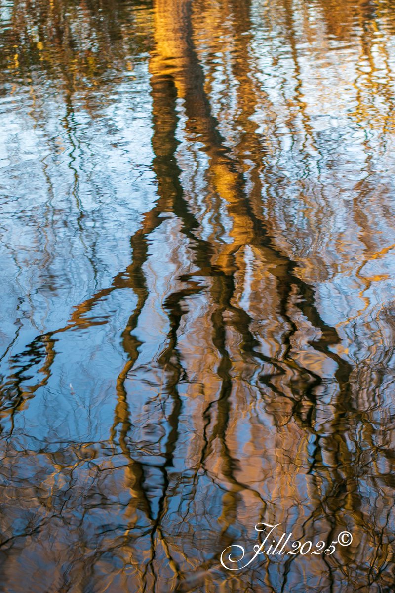 ScottishJill's tweet image. #WinterReflections 2025