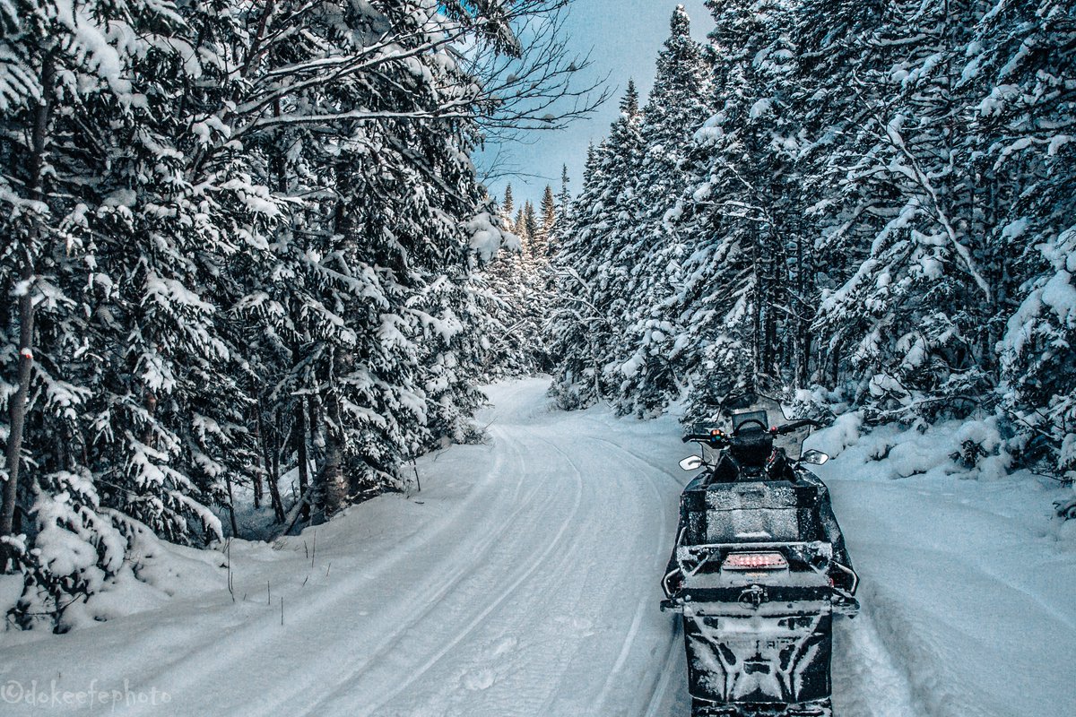 DonnieOK's tweet photo. Got to scratch an itch today :) #snowmobile #snowmobilenl #explorenl #Polaris #PolarisTitan #LRO #WSR #WesternSnoRiders #NLSF #ilovewinter #steadybrook #pasadena #outdoors #winter #newfoundland hoping to get a few more of these in. Come on with it..... https://t.co/yAX5aNYZZQ
