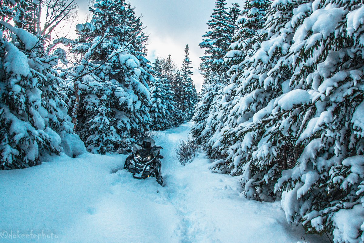 DonnieOK's tweet photo. Got to scratch an itch today :) #snowmobile #snowmobilenl #explorenl #Polaris #PolarisTitan #LRO #WSR #WesternSnoRiders #NLSF #ilovewinter #steadybrook #pasadena #outdoors #winter #newfoundland hoping to get a few more of these in. Come on with it..... https://t.co/yAX5aNYZZQ