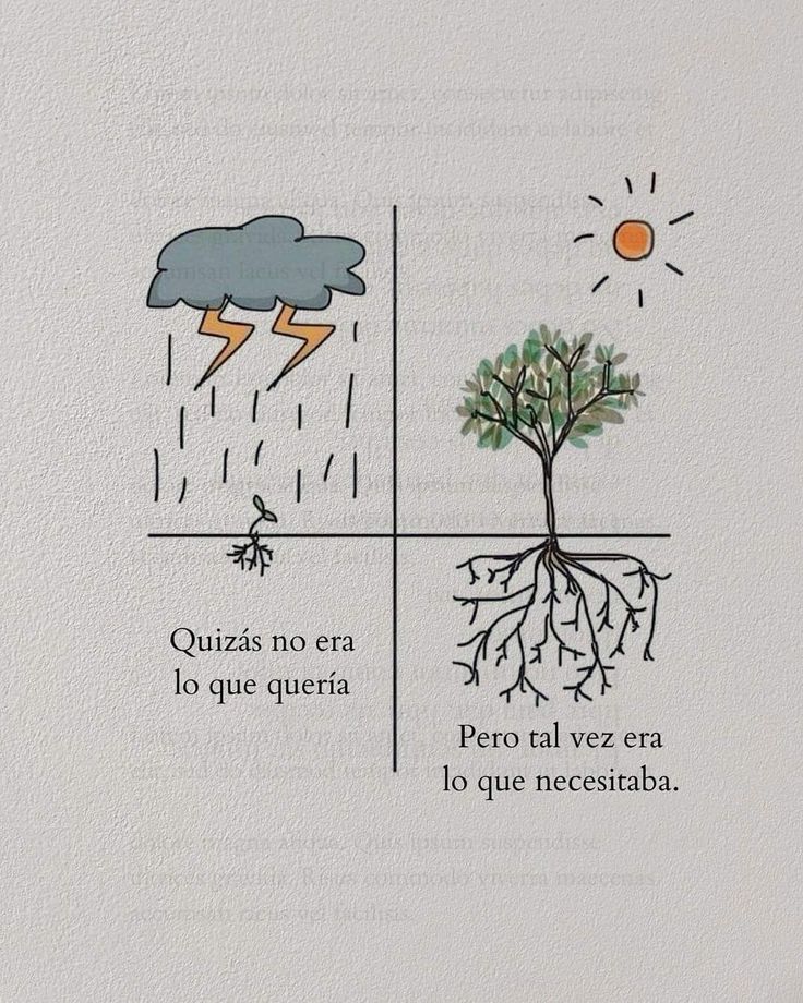MentalidadFeroz (@mentalidadferoz) on Twitter photo 