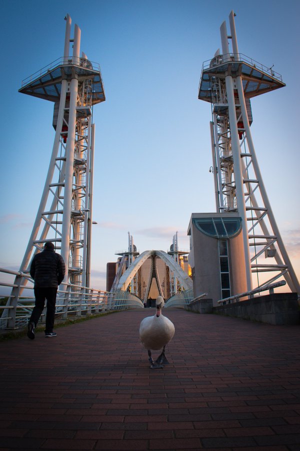 snapz_mcr's tweet photo. Swanning about prt 2.
Millennium bridge
Salford Quays #salford
#manches https://t.co/Nl19bYMg4m