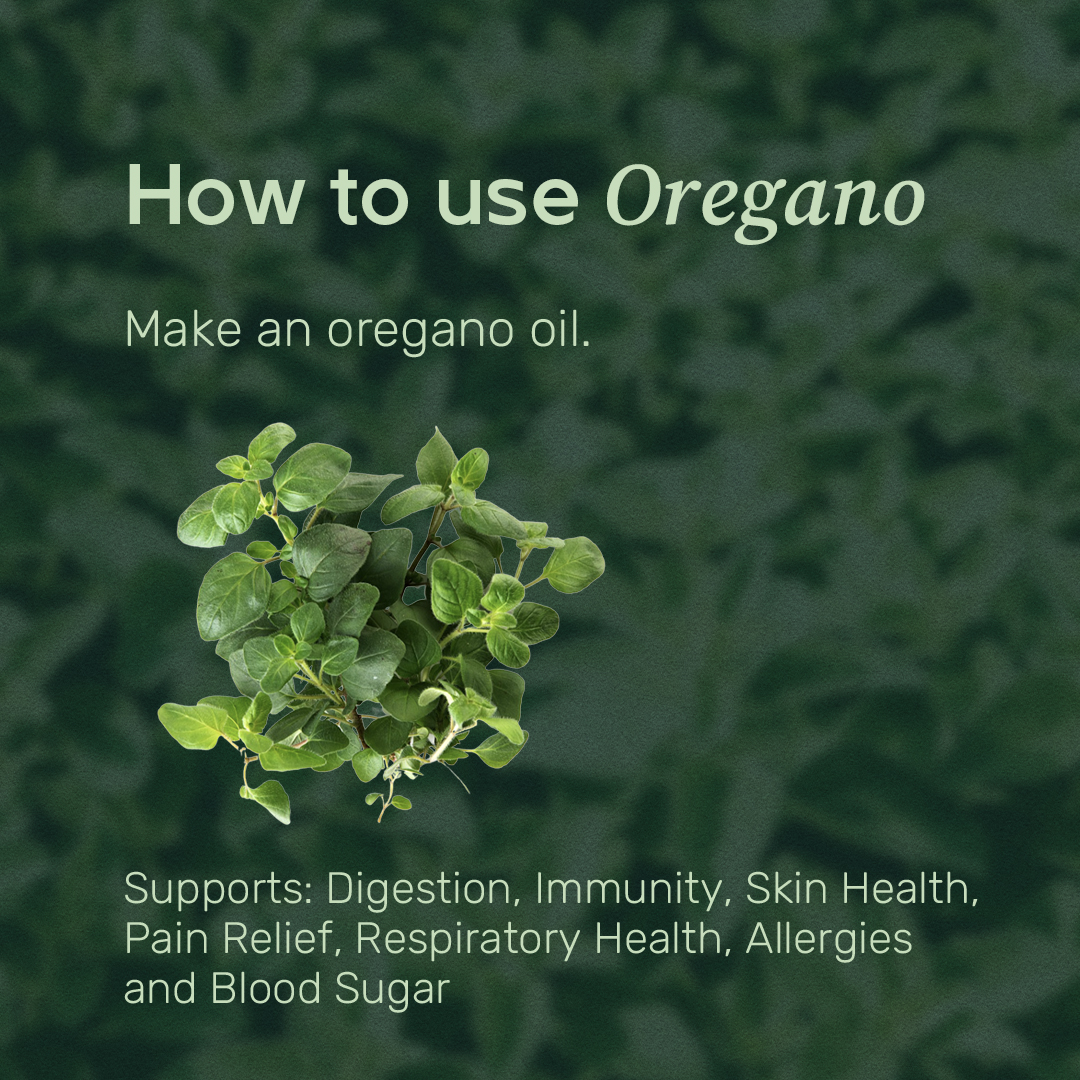 Cold &amp; Flu Season is in full swing - but it's no match for our favorite homegrown herbs.⁠
⁠
Save this cheat sheet for the next time you need a boost. Finding a natural remedy has never been easier.