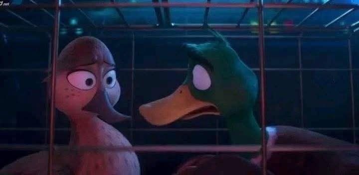 أنتي دايمًا بتطمنيني
 وعمرك ما يئستِ من أي حاجة، 
أنتي حتى ما يئستيش مني