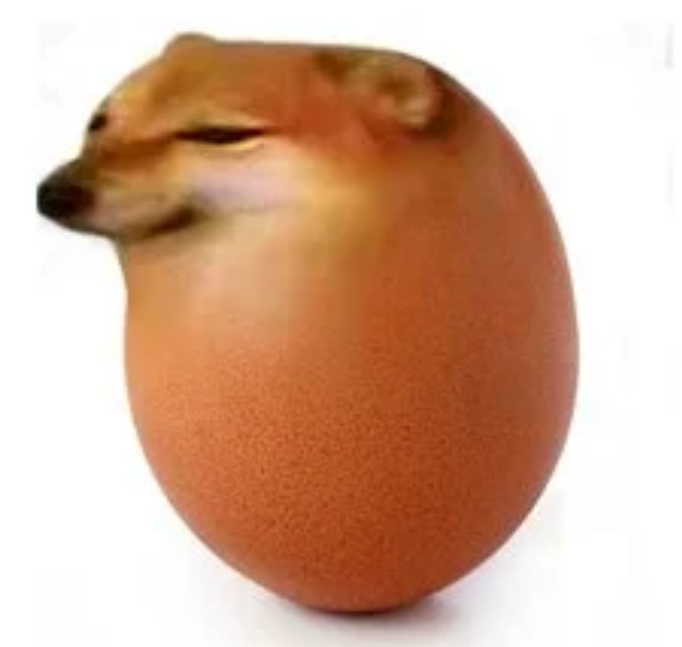 これは柴犬の卵です。