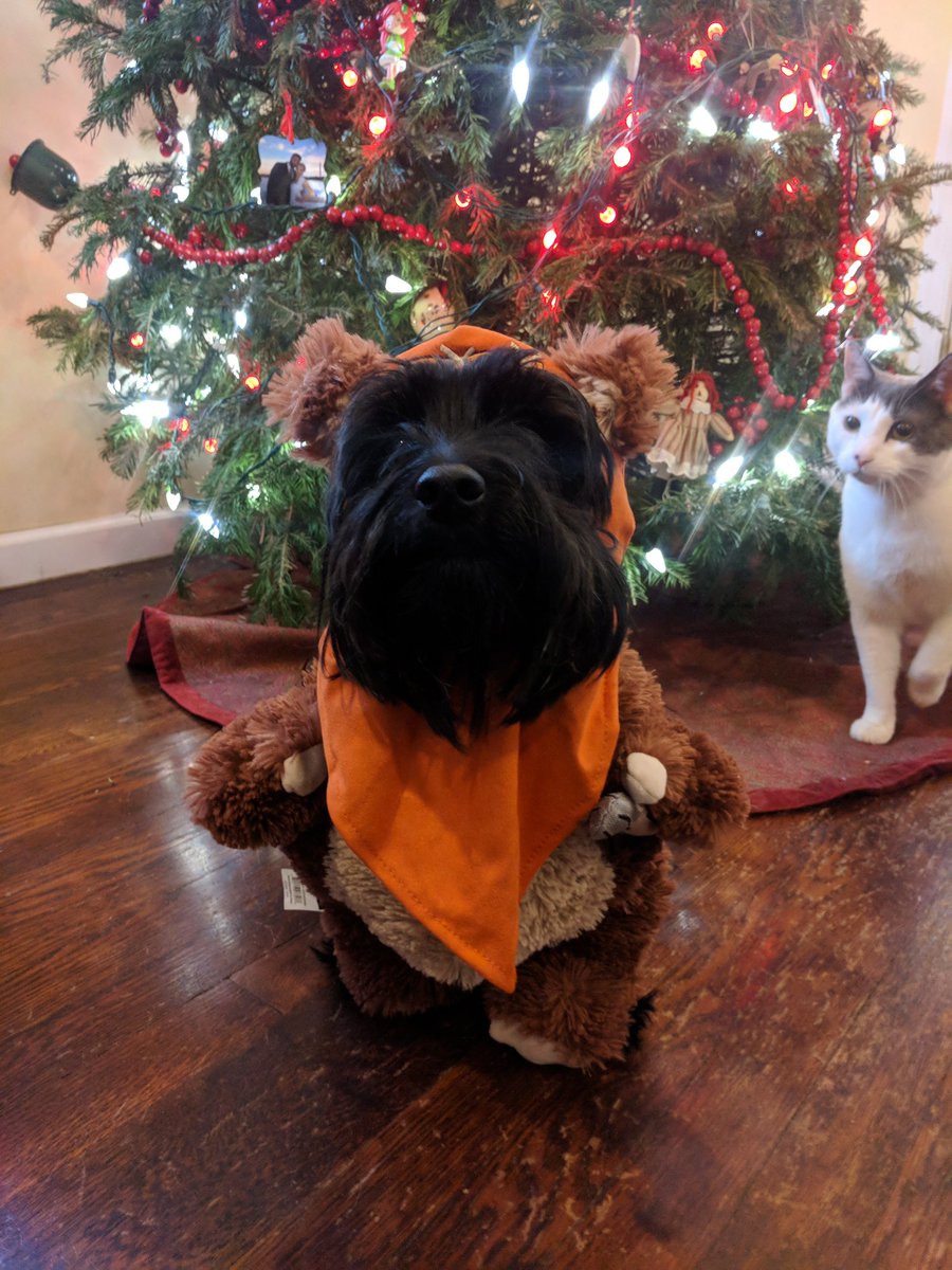 Luke Thomas🏋️‍♀️ tweet media