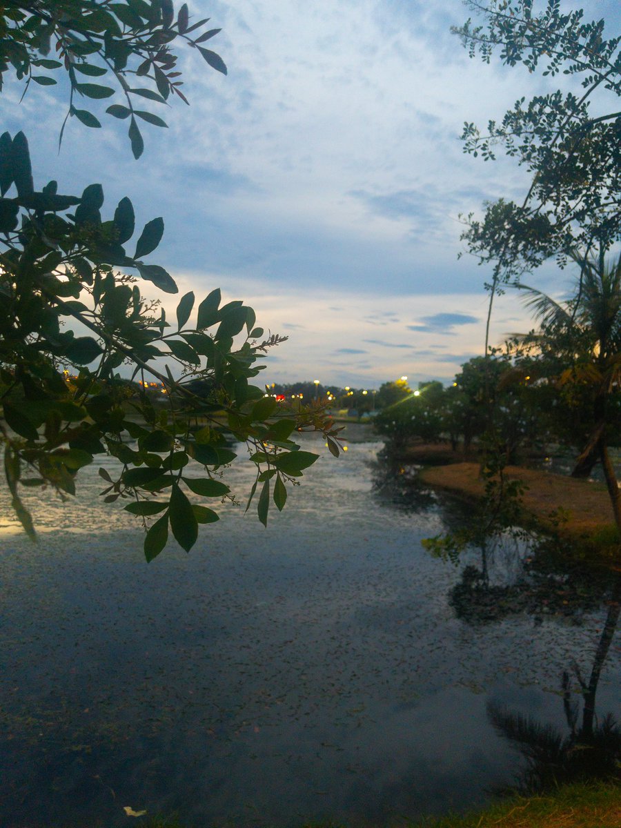 RyuuWr's tweet image. Good nigth