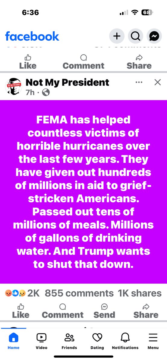 Rosa Lynn tweet media