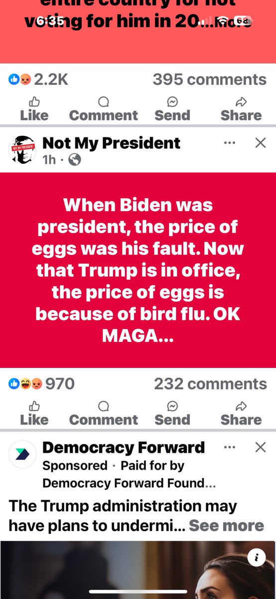 Rosa Lynn tweet media