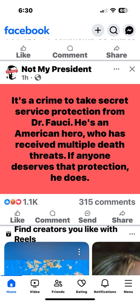 Rosa Lynn tweet media