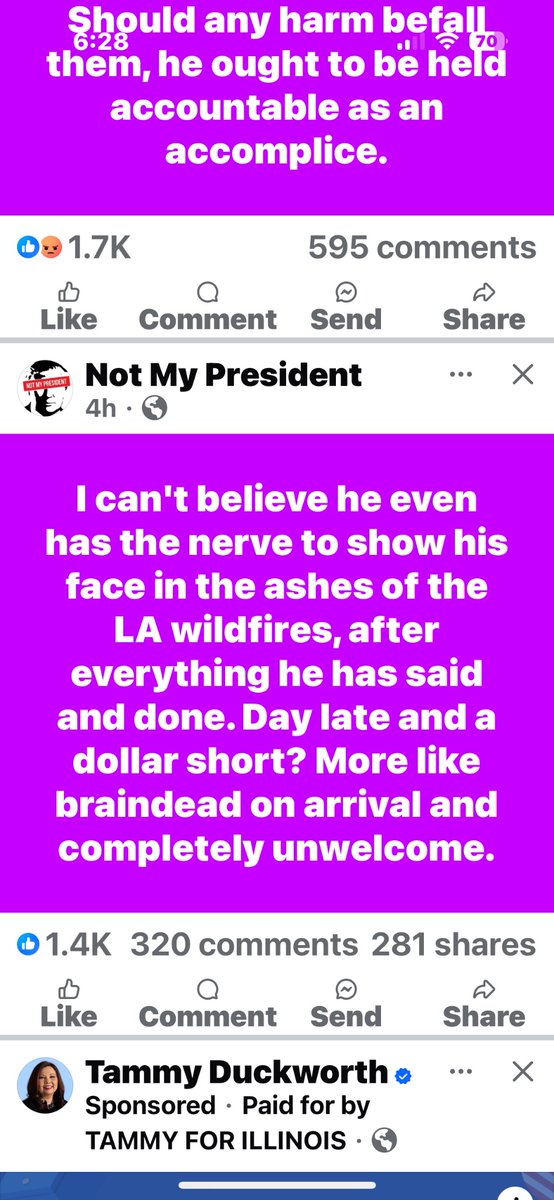 Rosa Lynn tweet media