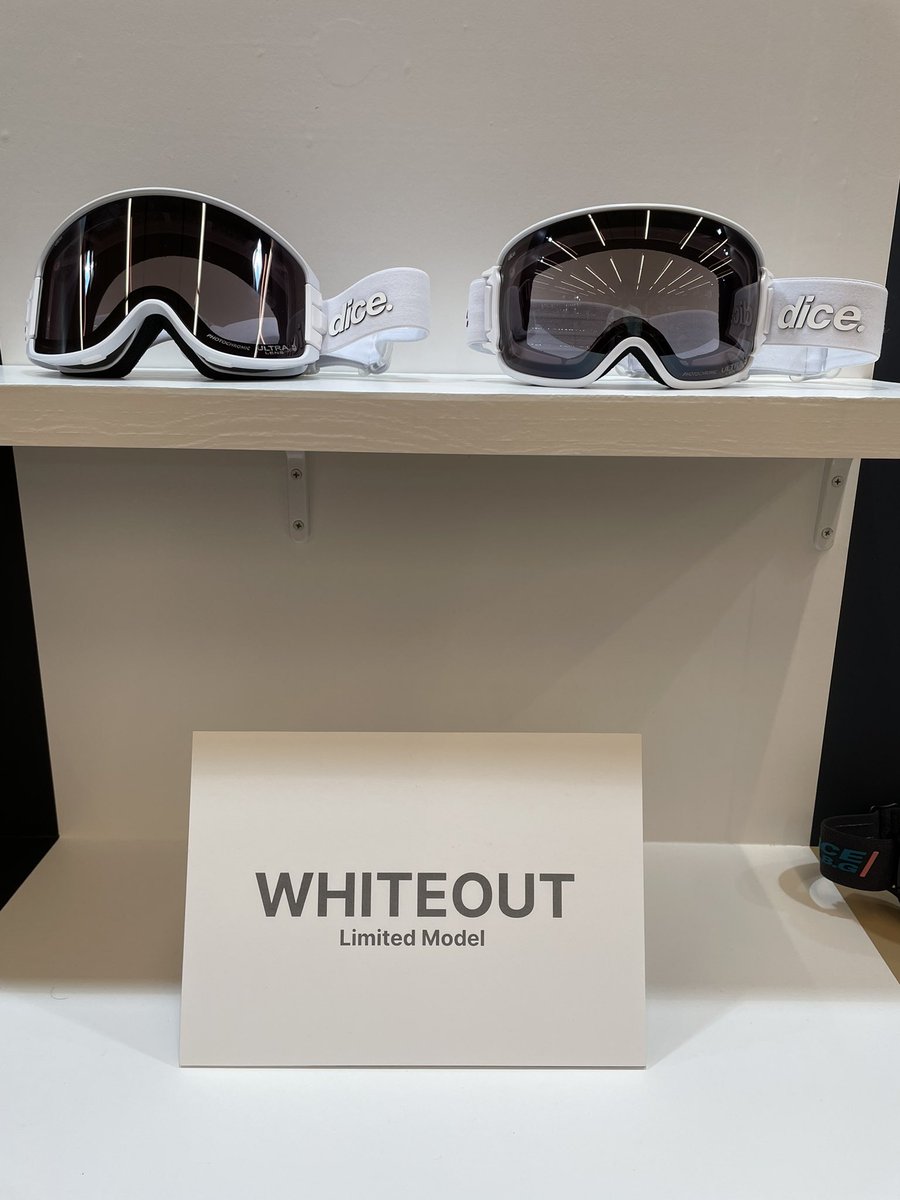 DICE snowboarding goggles | ダイススノーボーディングゴーグル DICE