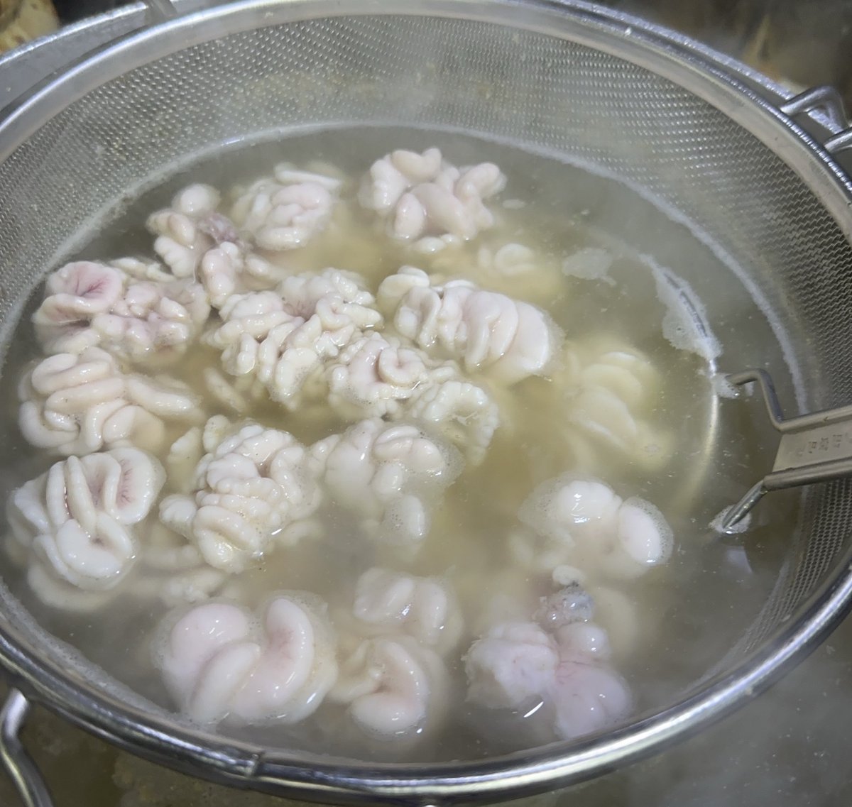wryo_rock_ramen's tweet photo. 今日の裏そば

痛風そば

牡蠣かなりデカいので小さくしたくなくて低音調理してます。
白子も旨み凄いです。 https://t.co/KIRNceFoA8