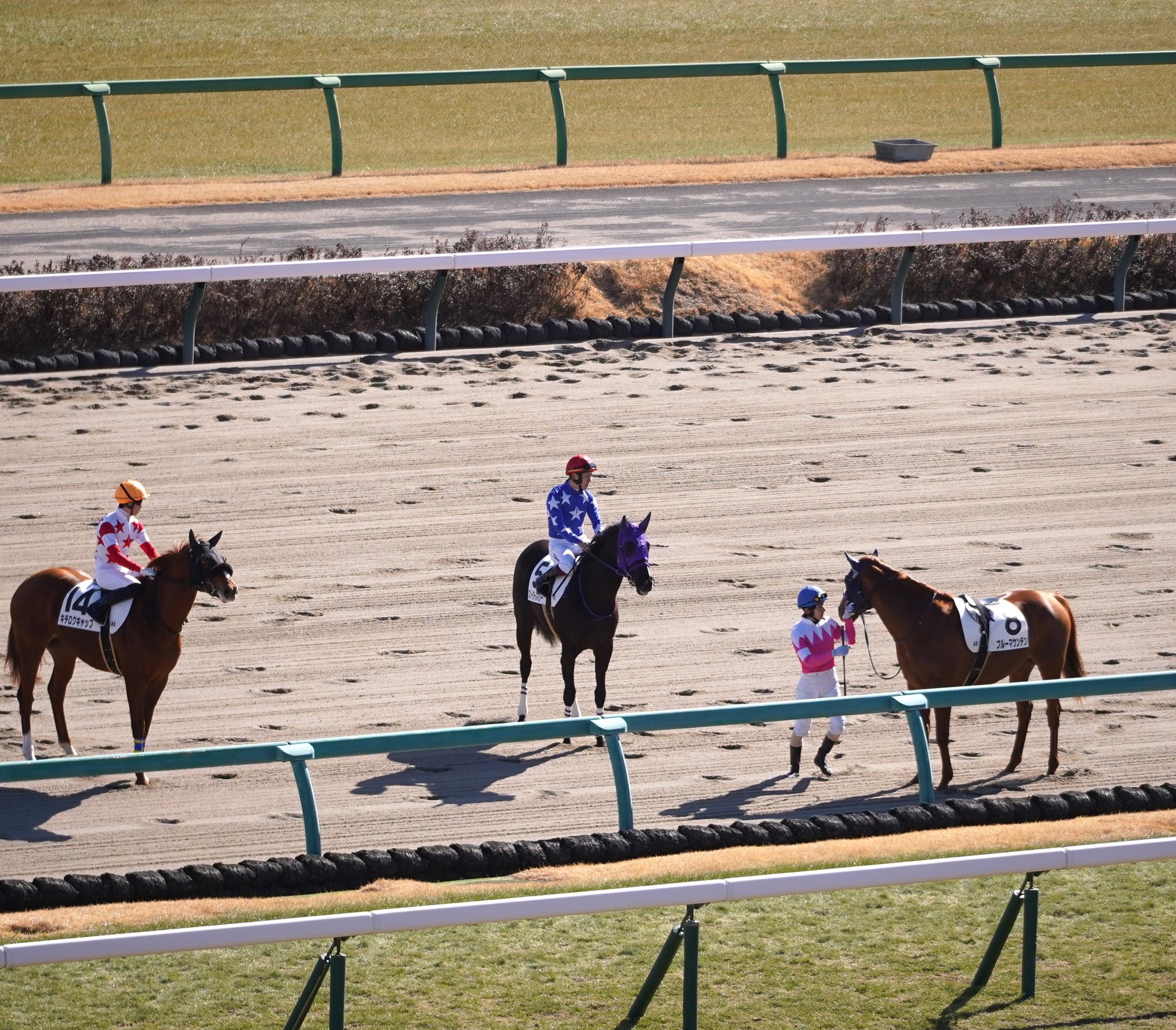 競馬陽炎座 時代の真ん中を走れなかった馬たち/日経ラジオ社