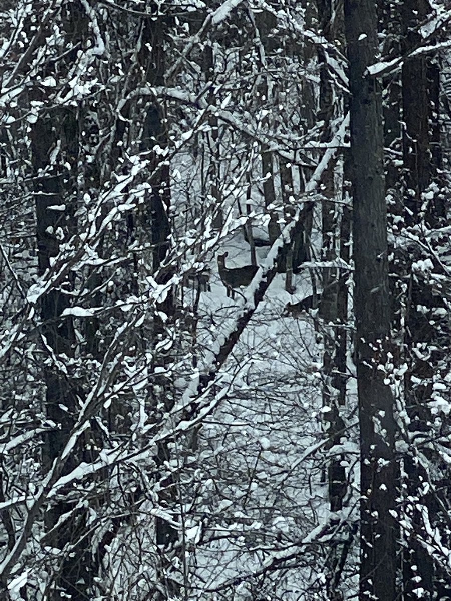 ちょっとP帯で休憩、視線を感じると思ったら……