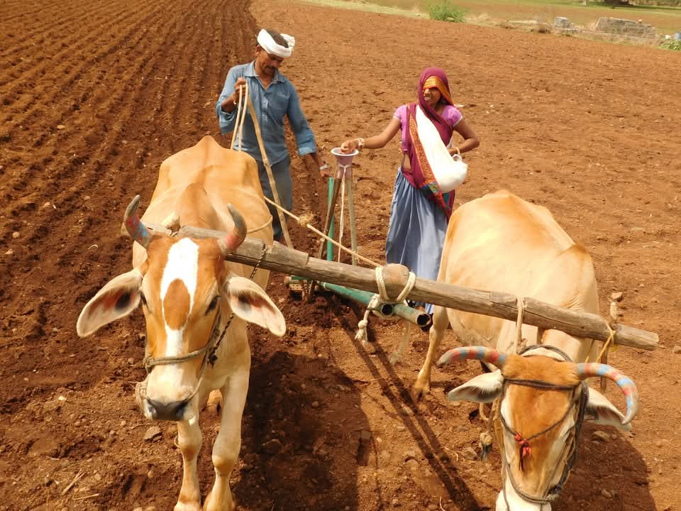 SamparkSocial's tweet photo. On this Republic Day, we celebrate the spirit of democracy, unity, and progress that defines our great nation. 🇮🇳 At Sampark, we remain committed to empowering communities in Jhabua, Madhya Pradesh, through education, health, and sustainable livelihoods. Together, let’s build a brighter future for all. Jai Hind! #RepublicDay #Sampark #EmpoweringIndia #ruraldevelopment
#RepublicDayIndia