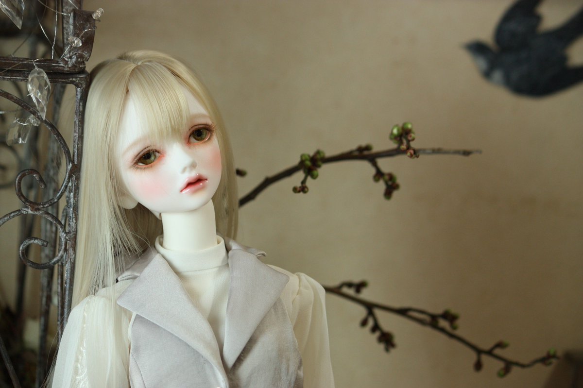 Robede_Rosarium's tweet photo. おはようございます♬.･*＊

永い眠りから覚めた姫はヴェラ
NYの人気ドレスデザイナーヴェラヲンからお名前をいただきました

憧れの方にさらに近づいたかもしれないと一人悦に入っております

しばらくお洋服は作れそうにありませんが
嬉しいです

#おはドル 
＃LITTLEMONICA
＃Roselyn https://t.co/RMcyKqRrOQ