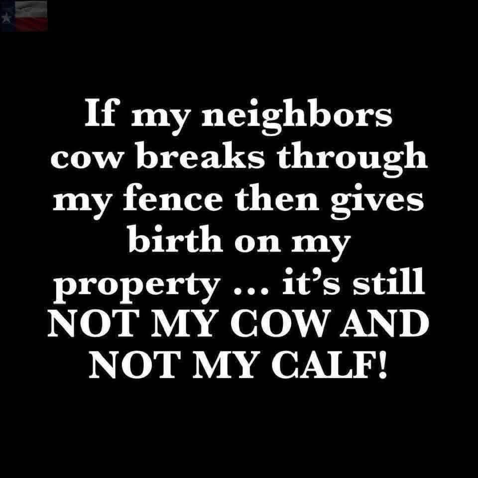 This is a good argument against birthright citizenship!