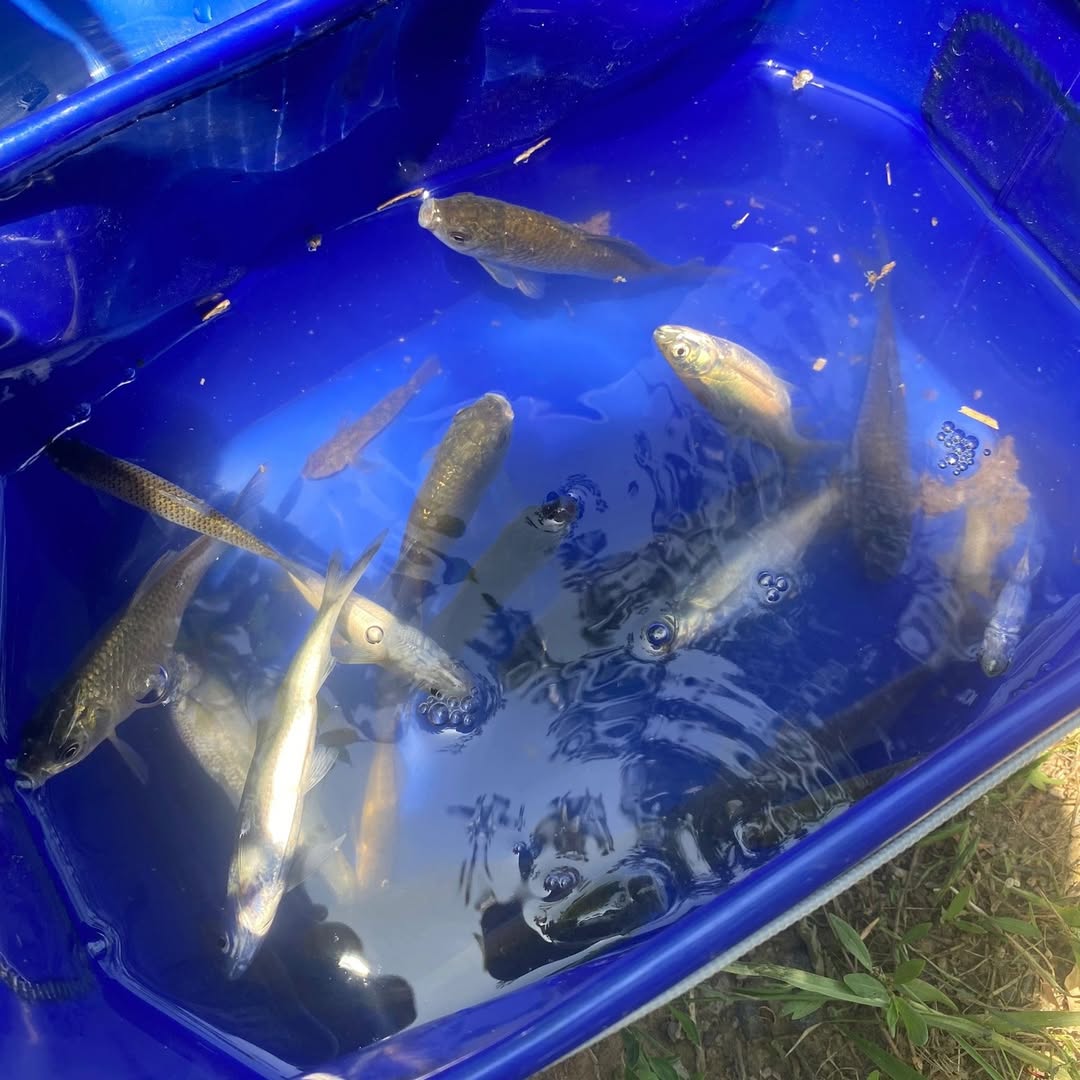 keosreynech's tweet photo. 実は人生は釣りのようなもので、美しい未来に憧れる始まりがあり、必ずしも予期した収穫があるとは限らず、どんな結果を得ても、平常心で対処しなければならない。
#釣り人
#一緒に釣りに行く
#釣り装備 https://t.co/IE9m8rPyBO