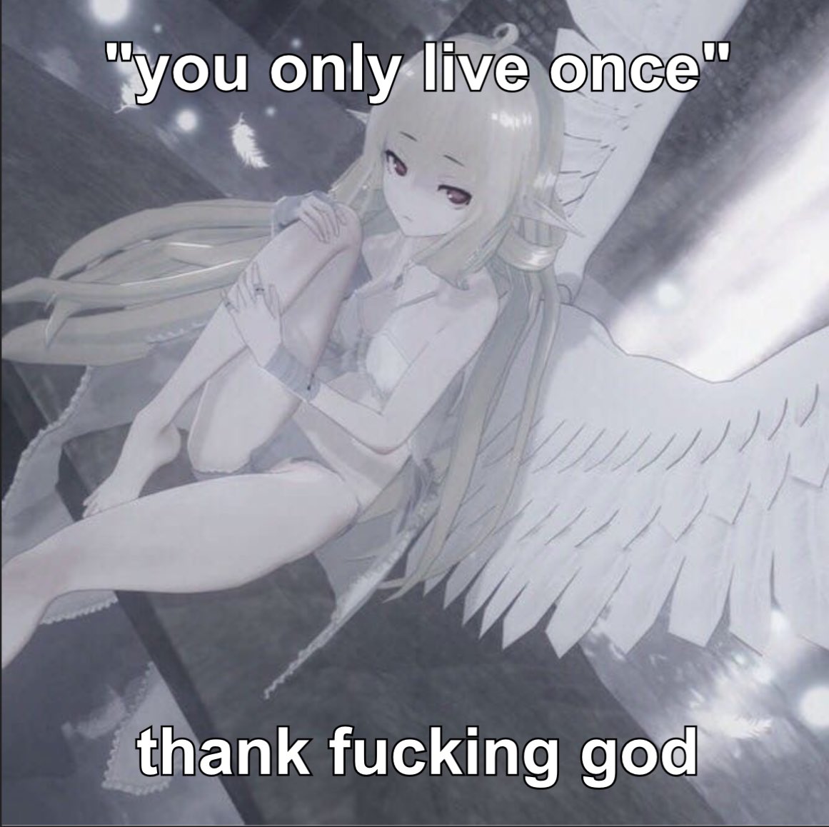 nova (@comfypill) on Twitter photo 