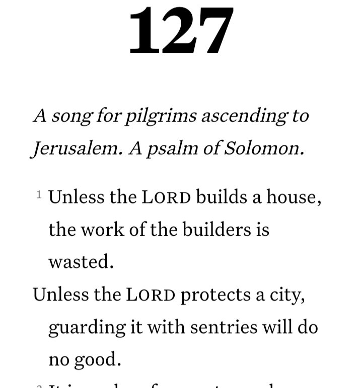 Tirhani Cee (@tirhanicee) on Twitter photo 