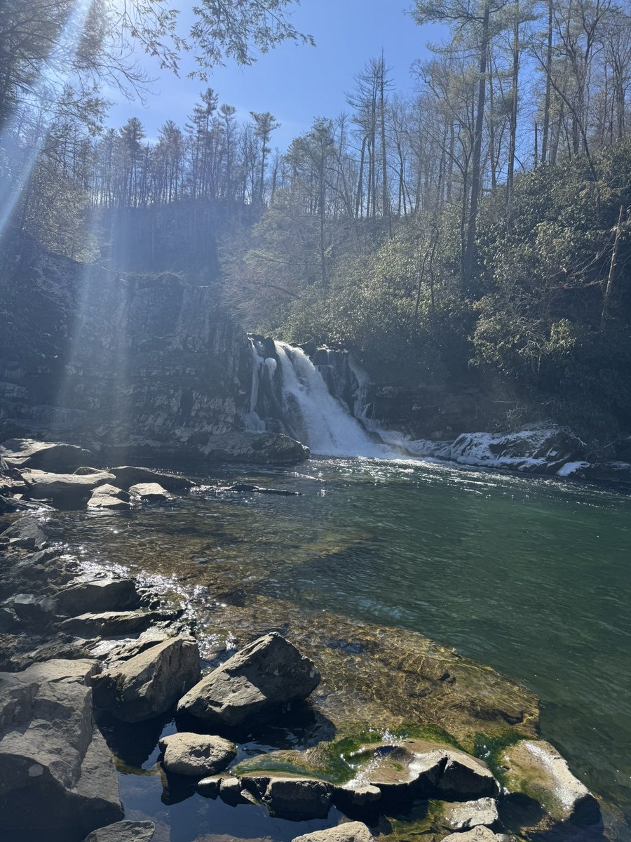 Blake Leckey tweet media