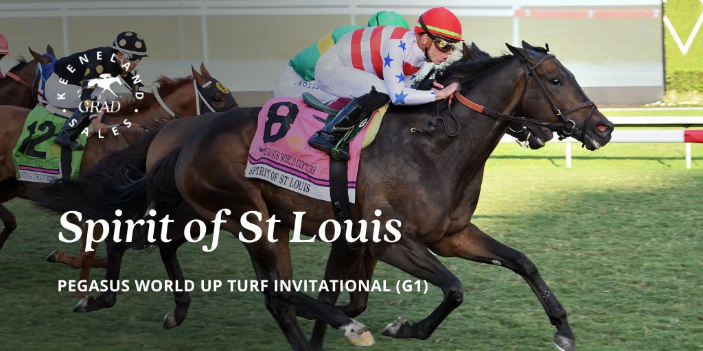 keenelandsales's tweet photo. Two-time #KeeGrad SPIRIT OF ST LOUIS with a tremendous win in the Pegasus World Cup Turf (G1) @GulfstreamPark! A $280,000 purchase out of #KeeApril and now a Grade 1 winner. Congratulations to all involved!
Breeder: Chester Broman & Mary R. Broman
Owners: Madaket Stables LLC, Michael Dubb and Richard Schermerhorn
April Consignor: @EliteRaceSales
Sept. Consignor: @sequelnewyork
Trainer Chad Brown
