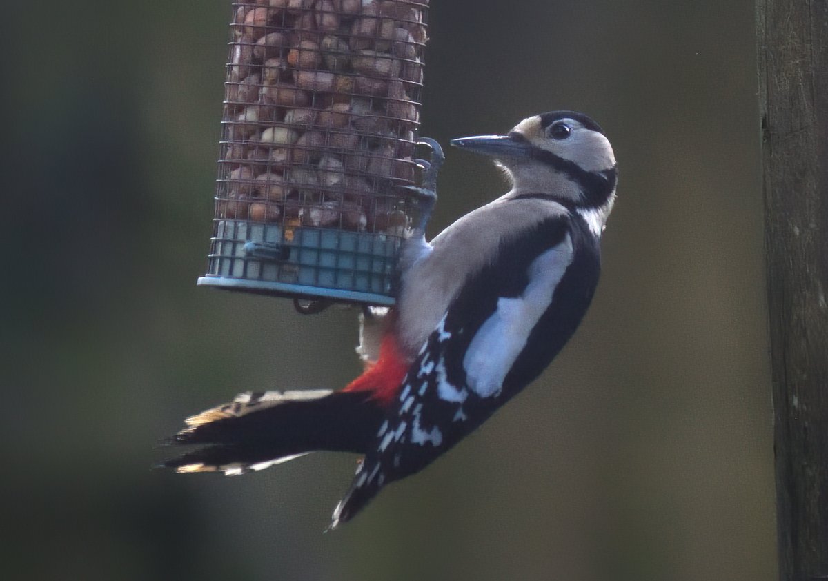 Andrew Malcolm tweet media