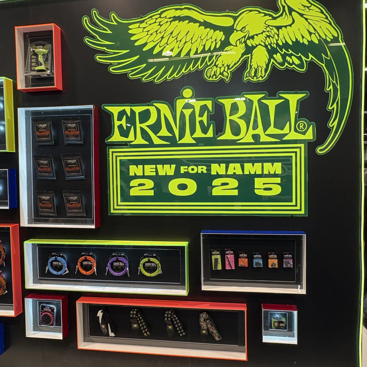 bass_collection's tweet photo. 油断してたらこんなん出てる!
#ernieball #pinopalladino #bassstring
#NAMM2025 #NAMM2025Ikebe #bass https://t.co/3tELFWaSDb