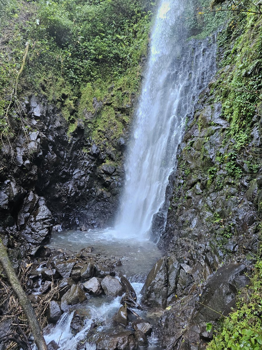 SIRIRI Turismo Rural tweet media