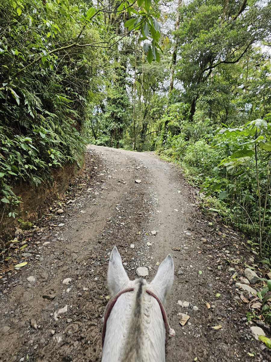 SIRIRI Turismo Rural tweet media