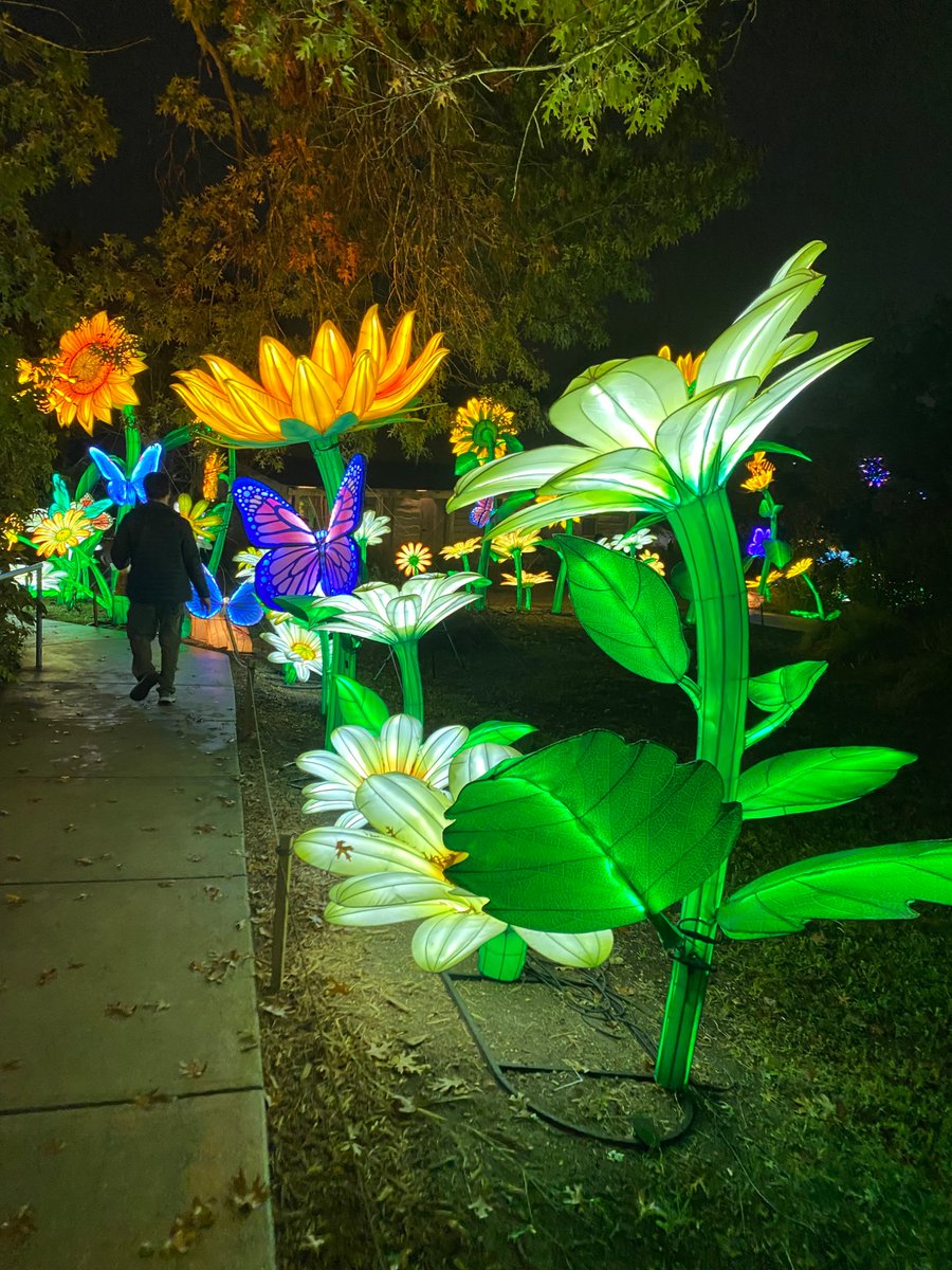 Valerie Gomez tweet media