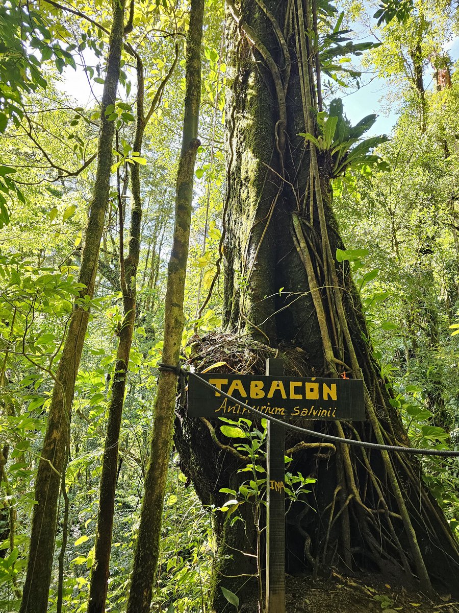 SIRIRI Turismo Rural tweet media