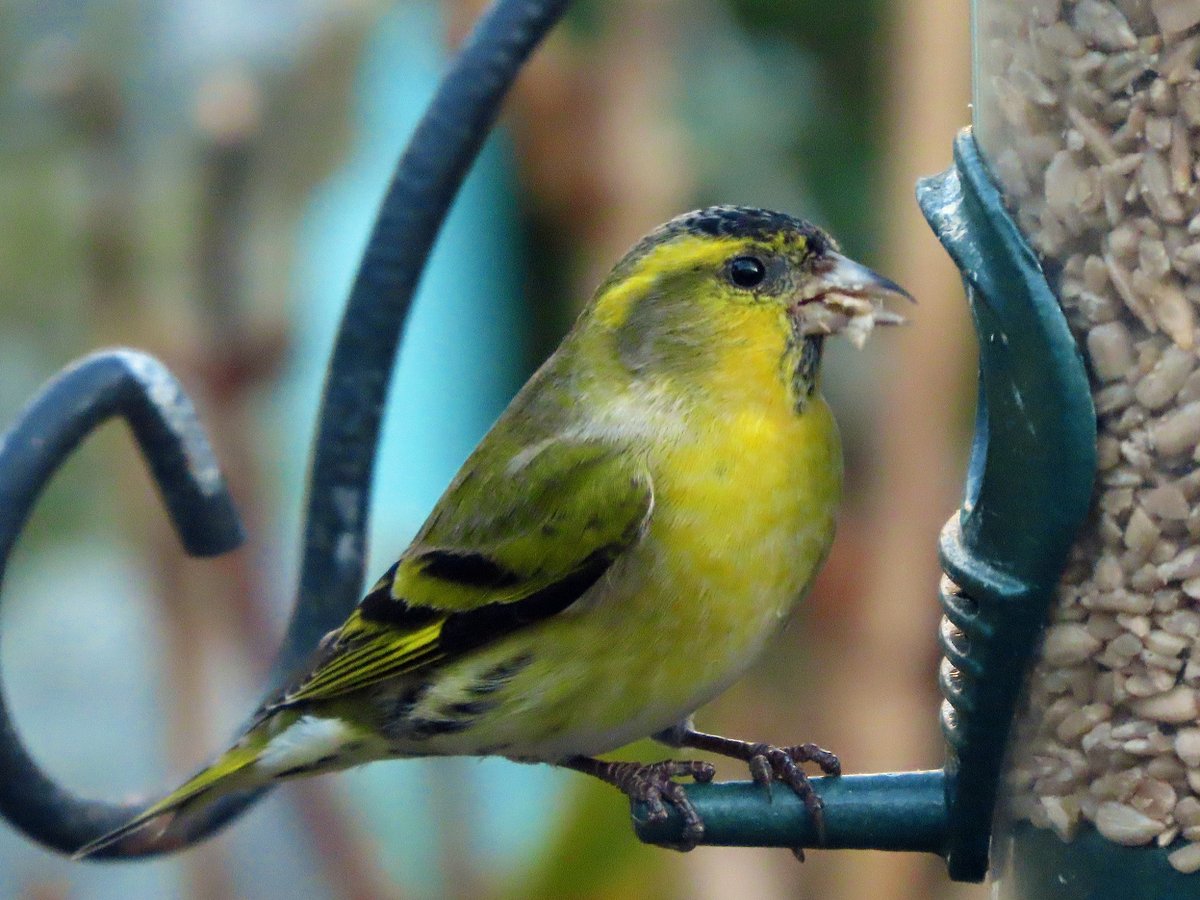 Brian E.Carruthers tweet media