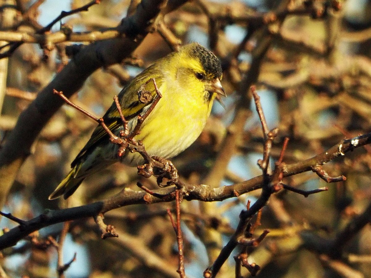 Brian E.Carruthers tweet media