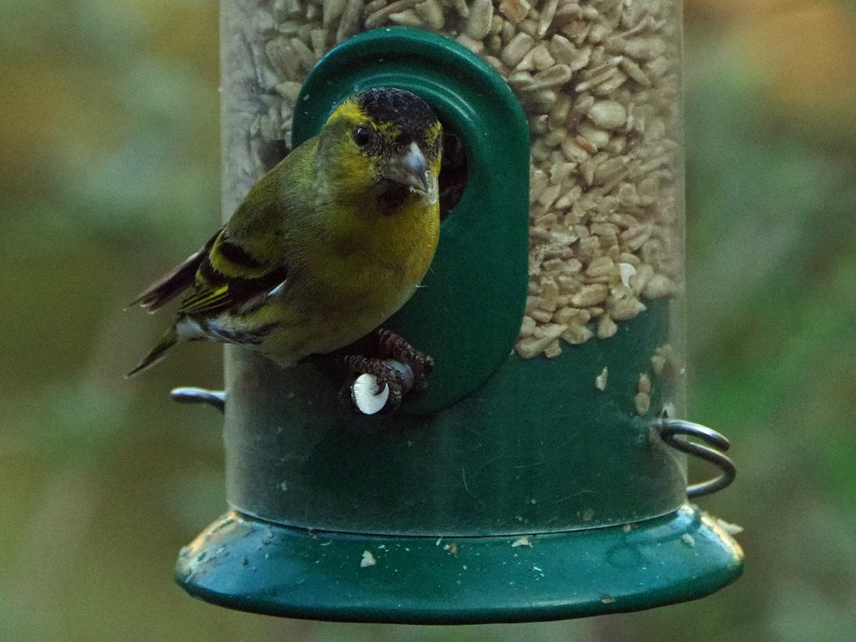 Brian E.Carruthers tweet media