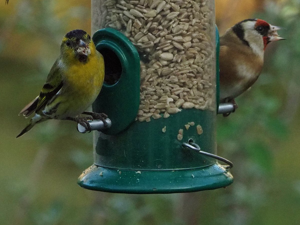 Brian E.Carruthers tweet media