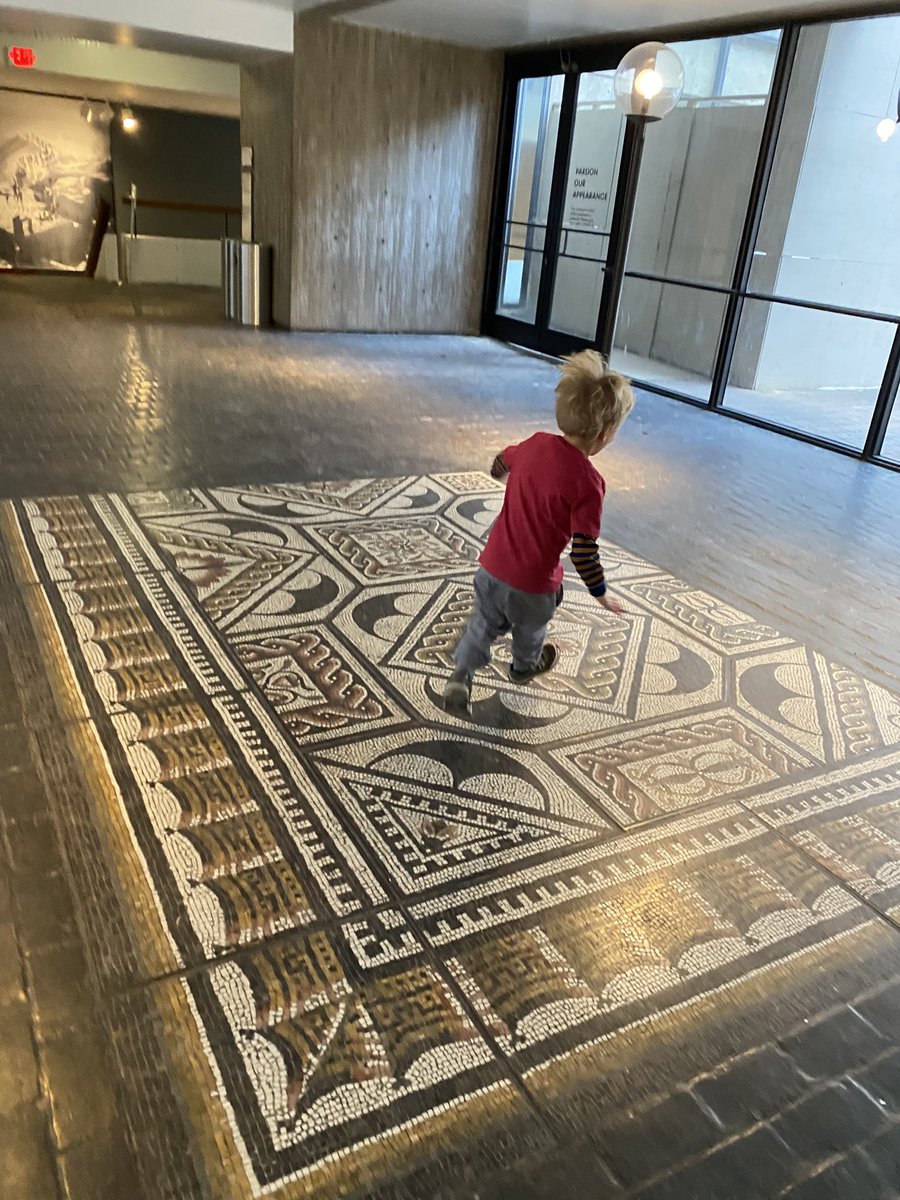 Lisa G M Friedman, MD MA 🐈⚾️🐧😷🦴👩‍👦 tweet media