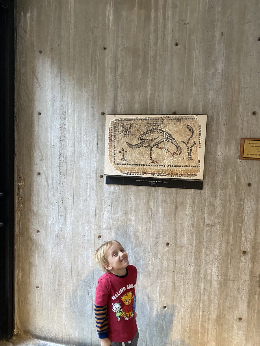 Lisa G M Friedman, MD MA 🐈⚾️🐧😷🦴👩‍👦 tweet media