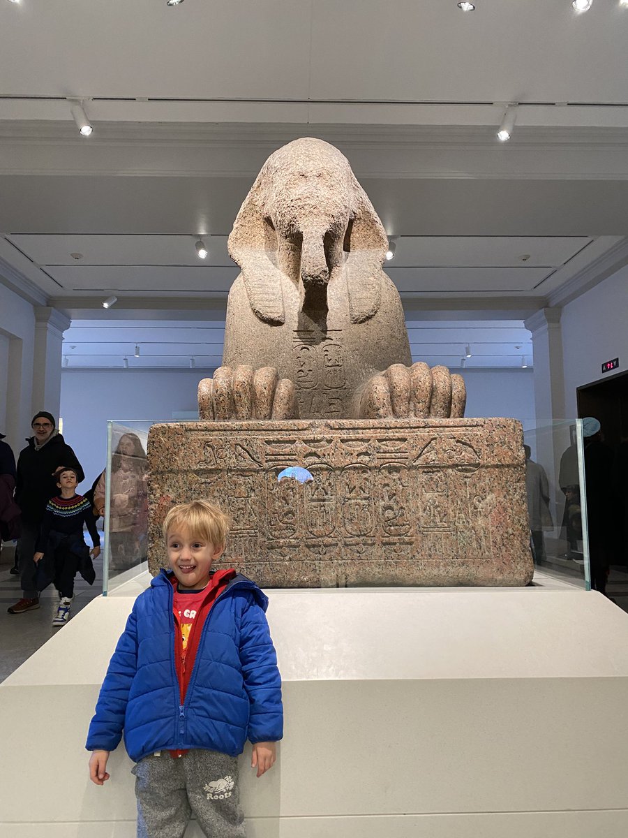 Lisa G M Friedman, MD MA 🐈⚾️🐧😷🦴👩‍👦 tweet media