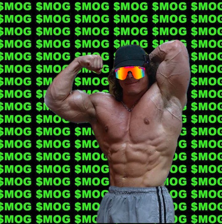 Mog like you have a 1000 ancestors behind you